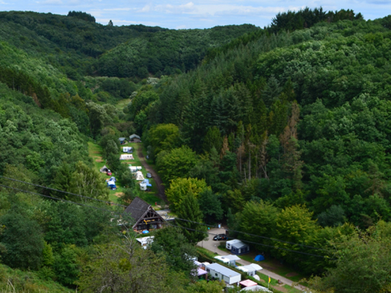 De kleinschalige camping Drei Spatzen tussen de bomen in de Eifel.