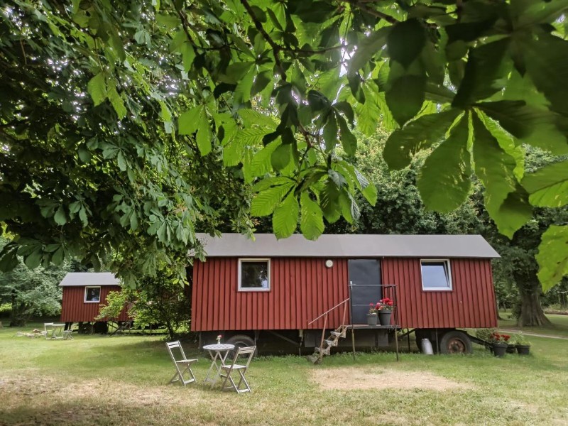 Kqmperen in een pipowagen in Duitsland, hier op de biologische en hondvriendelijke camping Schaferwagen am Biogut-Saalkow op Rügen