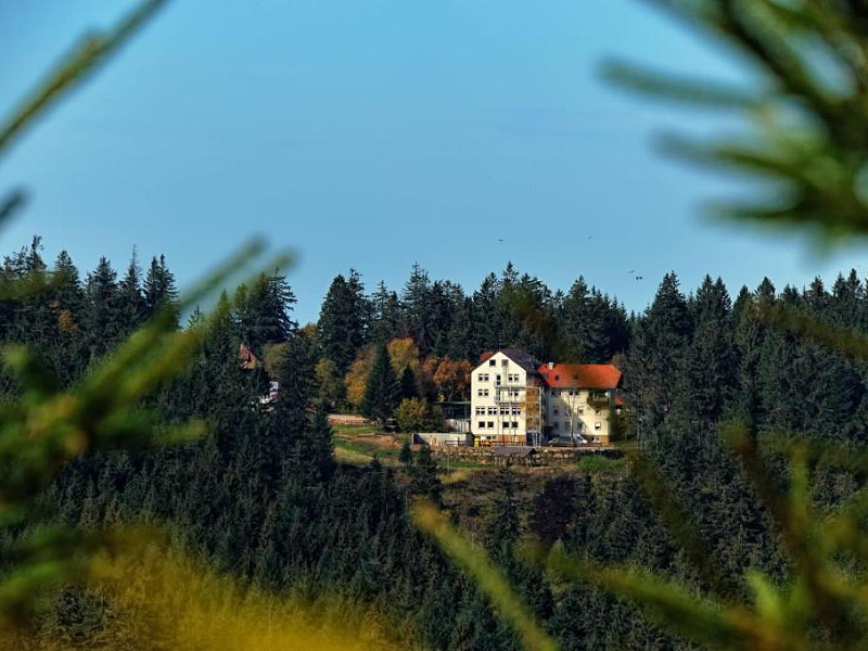 Het Natur- un Sporthotel Zuflucht tussen de bomen van het Zwarte Woud