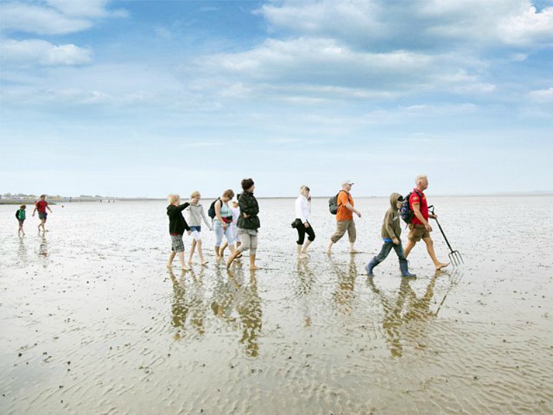 Wadlopen bij Center Parcs Nordseeküste