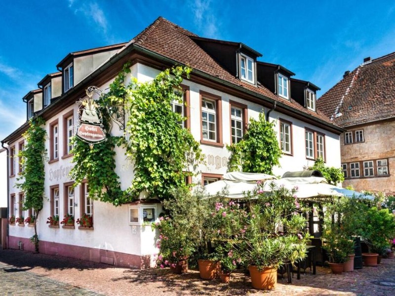 Flair hotel hopfengarten