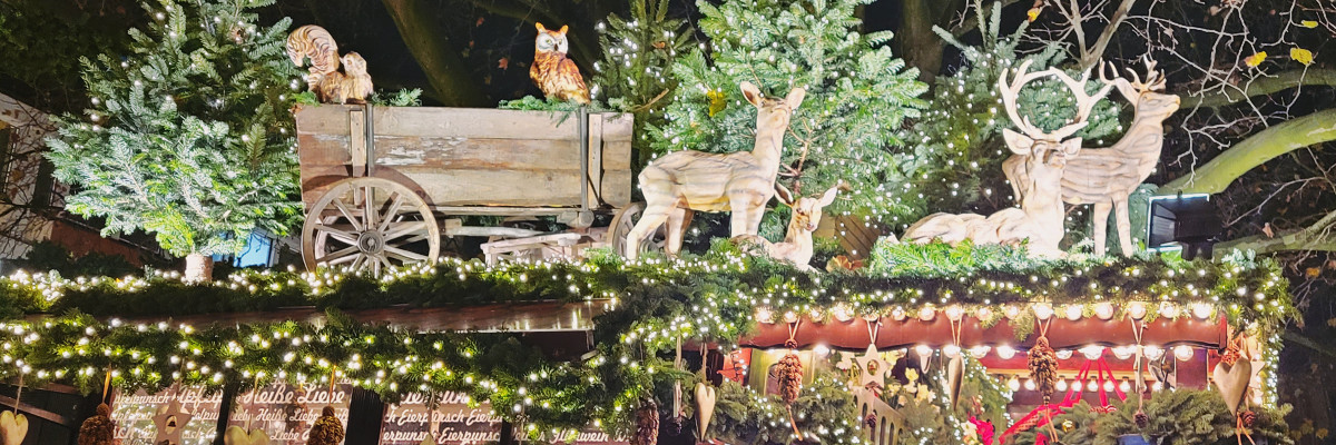 Het dak van een kraampje op de kerstmarkt in Münster