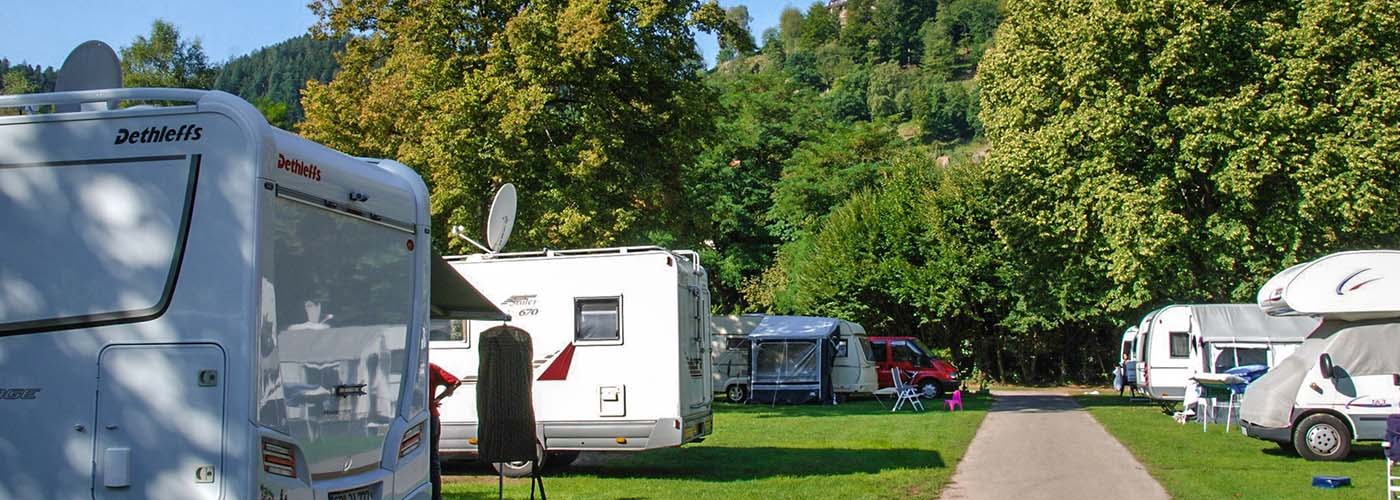 Zwarte woud campings header