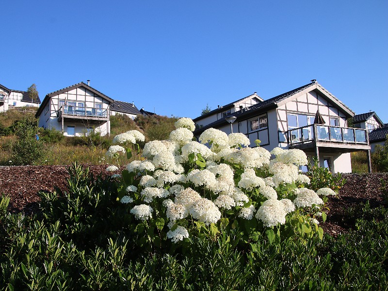 De vakantiehuisjes van Landal Winterberg