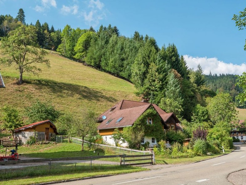 Vakantiehuisje dichtbij Freiburg