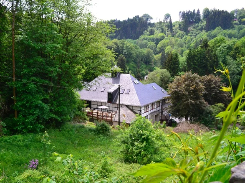 Groen gelegen natuurhuisje voor 12 personen bij Monschau in de Eifel.