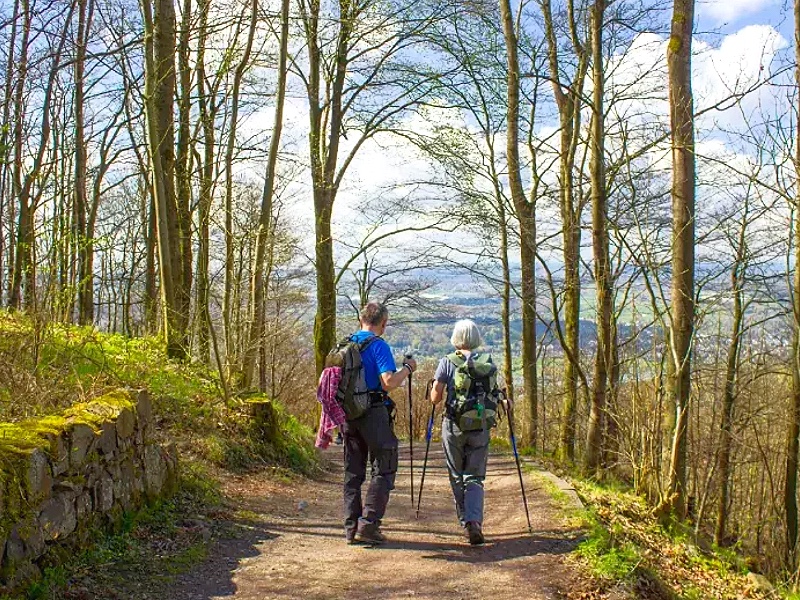 Oad Wandelreis Sauerland 5 dagen