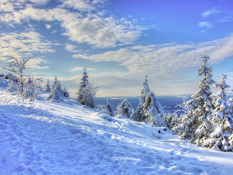De heuvels van de Harz bedekt met sneeuw