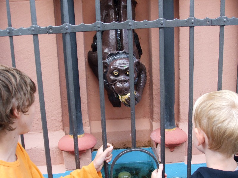 De aap bij het Haus zum Wahlfisch in Freiburg