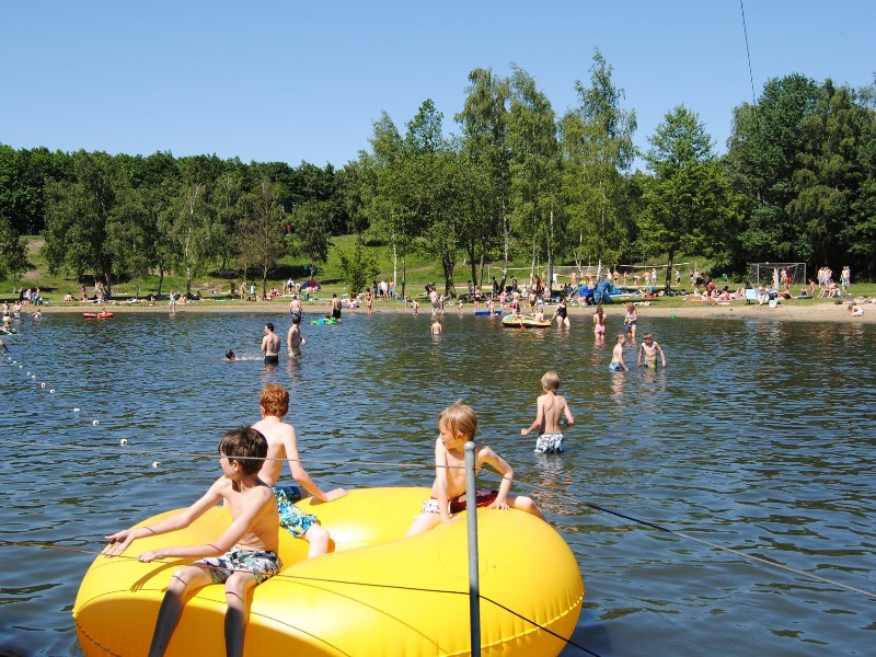 Waterpret bij de Alfsee