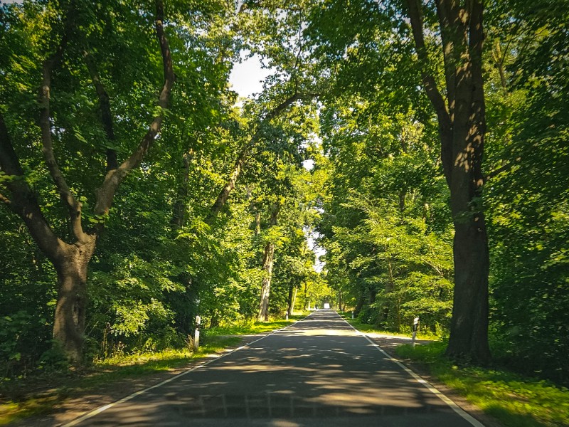 Een stukje Alleenstrasse in Saksen-Anhalt