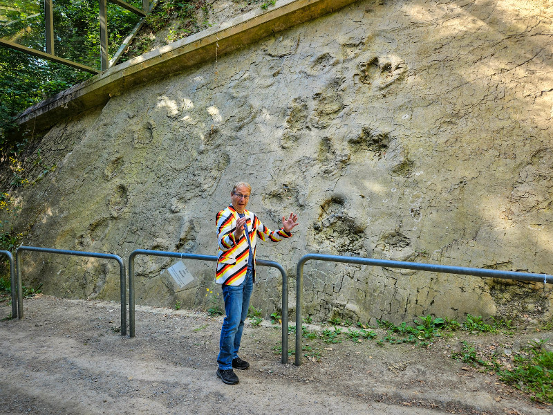 Dinosaurussporen vlakbij Bad Essen