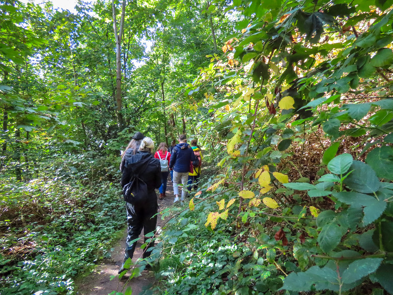 Waldbaden in Bad Kreuznach
