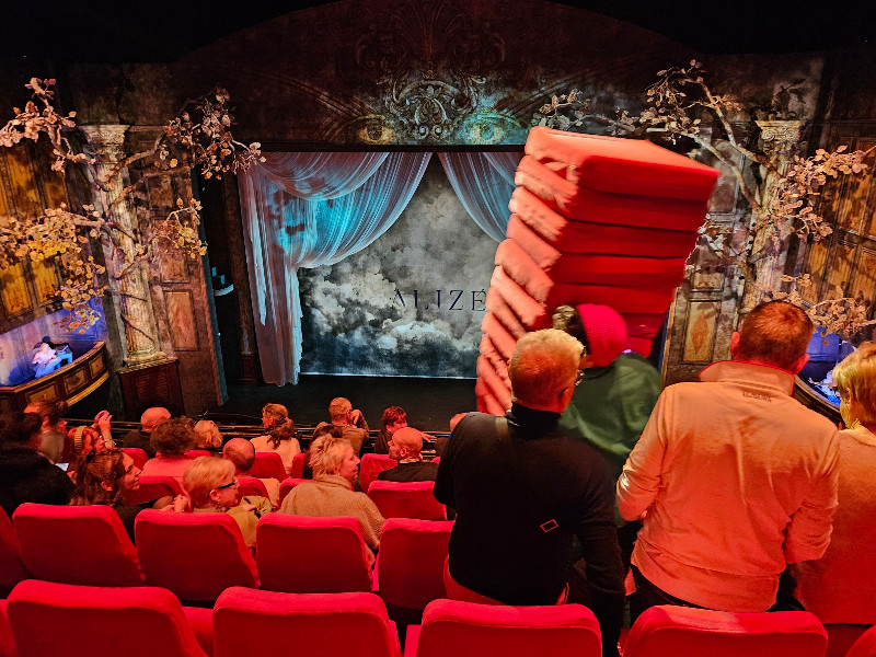 Vermaak met de kussens vooraf Cirque du Soleil ALIZÉ