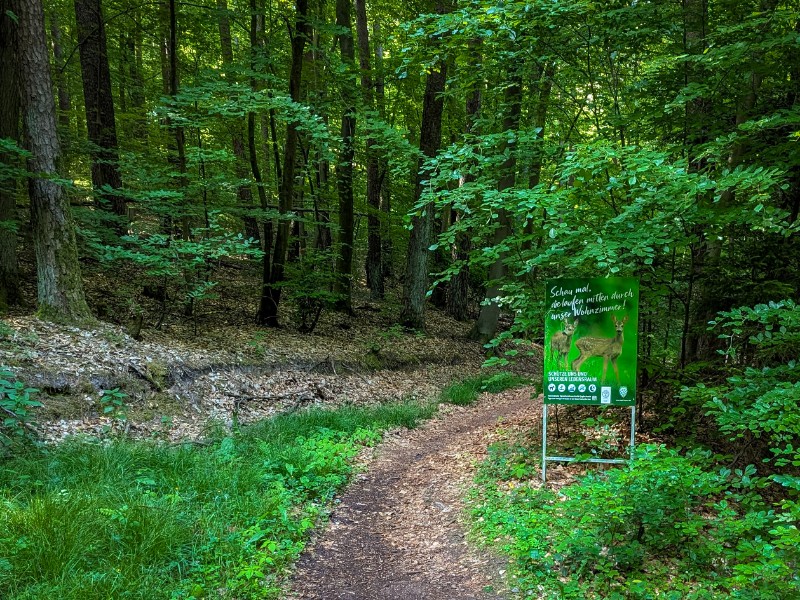 Delen van de Spessart vormen beschermd gebied