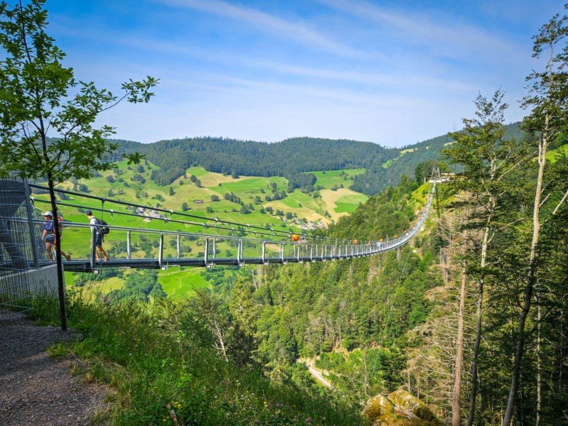 De Blackforestline hangbrug