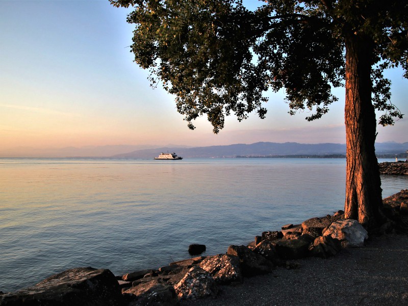 De Bodensee in het ochtendgloren