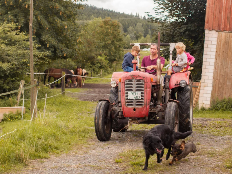 Kinderen bij de boer op de trekker op camping Denglerhof in Beieren.