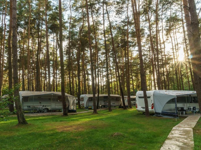 Heerlijk rustig kamperen in het bos, op loopafstand van de Duitse Oostzee
