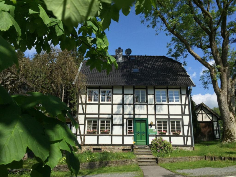 Het rustig gelegen ferienhaus menzerather weiher biedt mooie appartementen voor wie Monschau en haar omgeving wil verkennen.