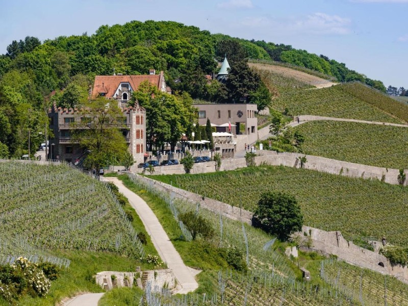 Slapen als een koning in het Schlosshotel Steinburg, net buiten de Duitse stad Würzburg. Vanaf hier heb je een schitterend uitzicht over de Main en de omgeving van de stad.