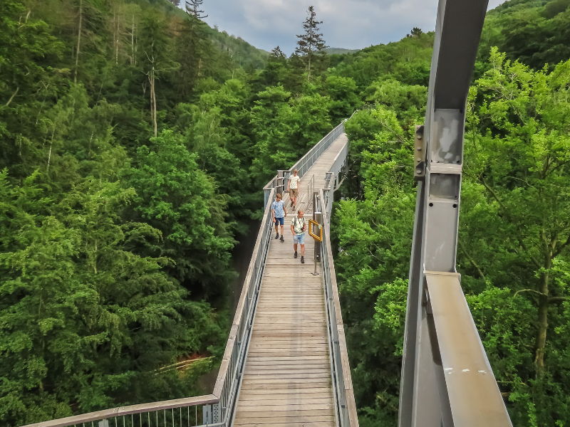 Patrick en de jongens wandelen over het boomkroonpad bij Bad Harzburg in de Harz