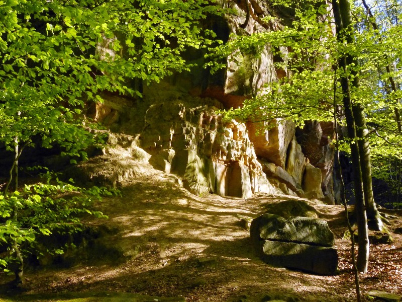 Bossen en zandsteen rotsen rond Bentheim