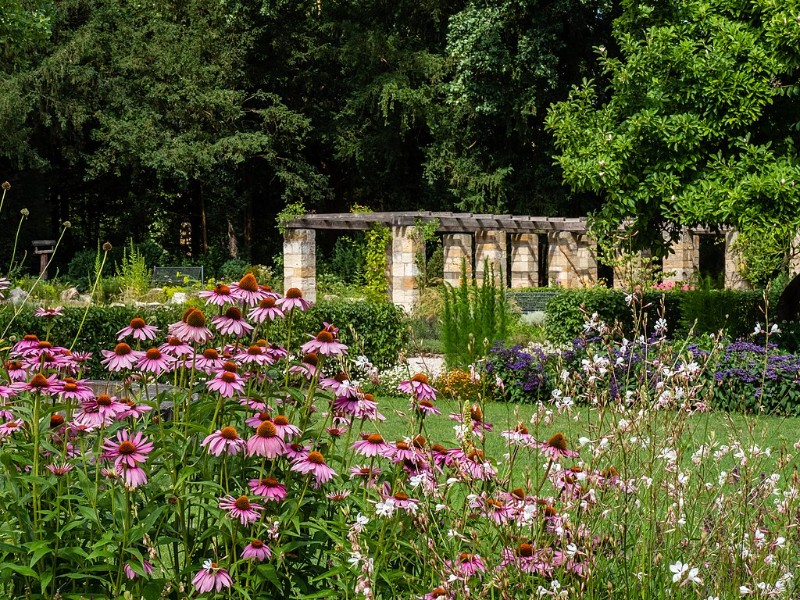 Botanische tuin in het Hainpark in Bamberg
