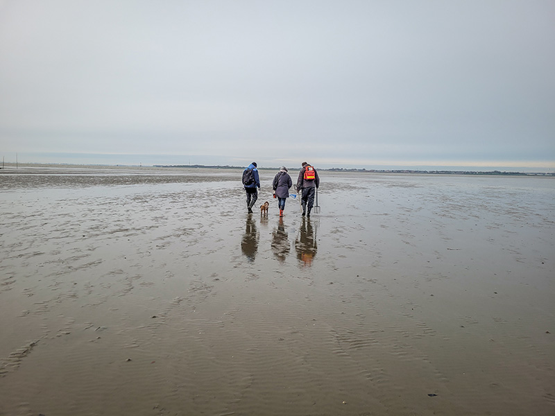 De Waddenzee bij Butjadinger