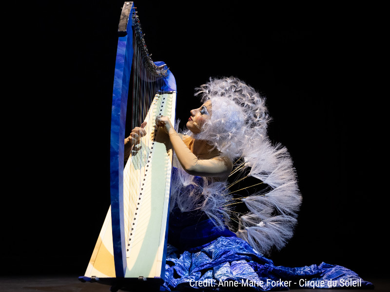 De muziek van de zangeres en de harpist waren geweldig!