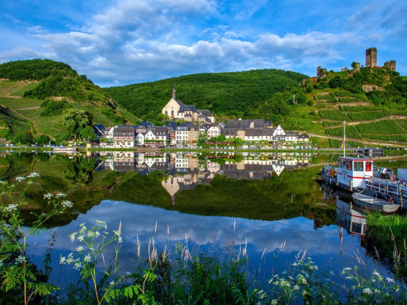 Uitzicht vanaf de mps Horizon tijdens een riviercruise over de Duitse Moezel