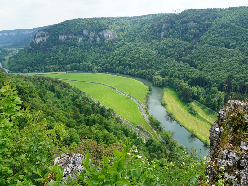 De nog jonge Donau bij Tuttlingen