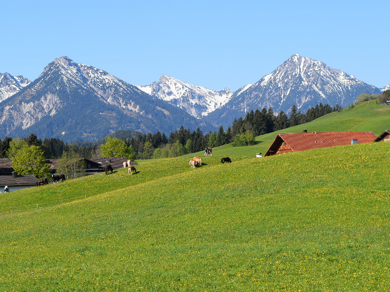 Wandelen in de omgeving van Füssen