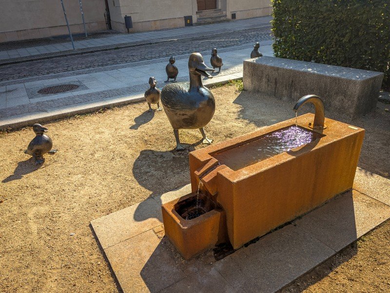 Eenden bij één van de waterbronnen in Wittenberg