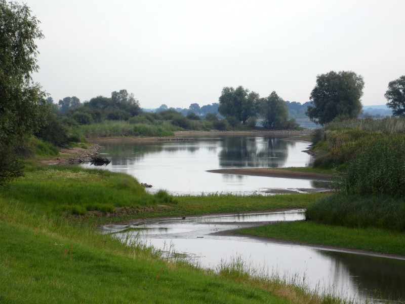 Moerasgebieden bij de Elbtalaue