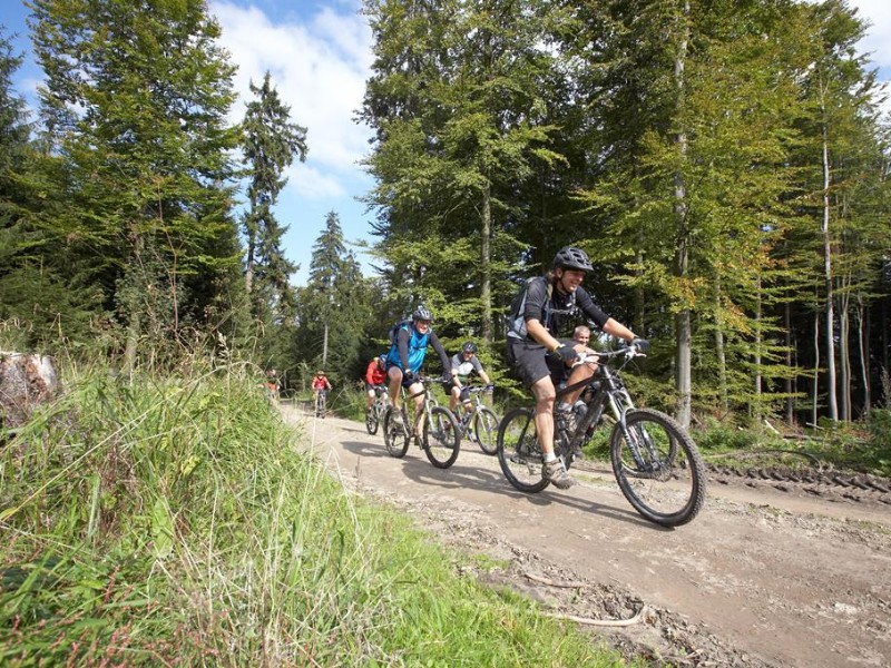 Mountainbiken in de Deister