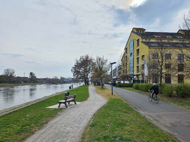 Fietsen langs de Elbe