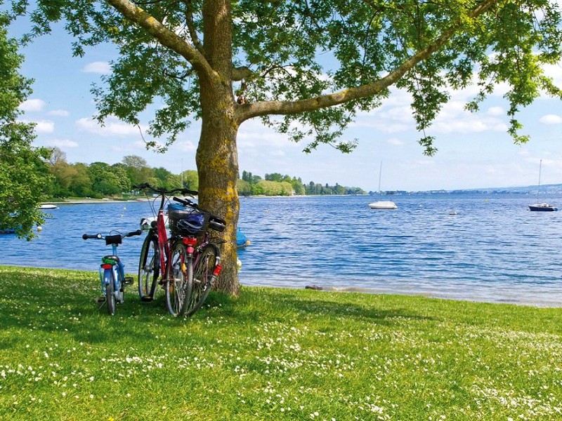 Fietsvakantie langs de Bodensee