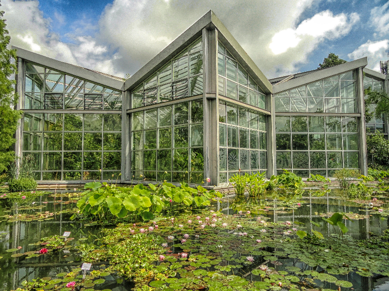De Palmengarten in Frankfurt am Main