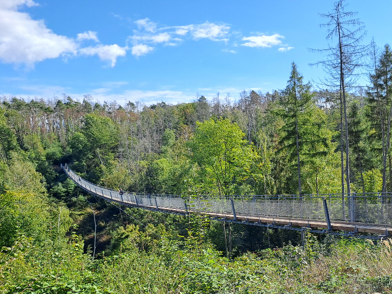 De Berental hangbrug in het gebied Hohe Schrecke, Thüringen