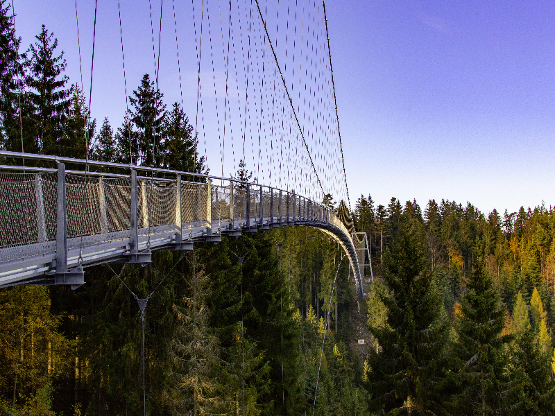 De WildLine hangbrug bij Bad Wildbad in het Zwarte Woud, Duitsland