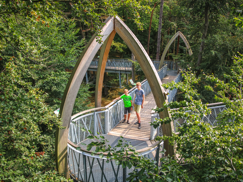 De jongens van Patrick en Sabine op het boomkroonpad in Hessen, bij de Edersee