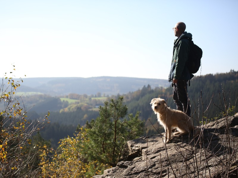 Lekker op vakantie met d ehond in Duitsand? Het kan op deze vakantieparken.