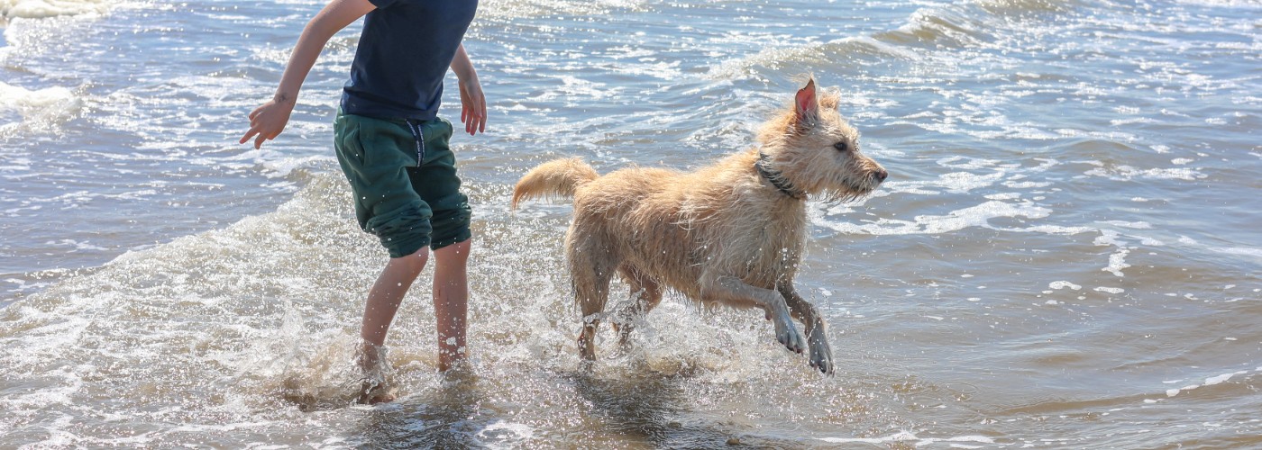 Lekker op vakantie met de hond? Dat kan ook op deze Duitse vakantieparken!