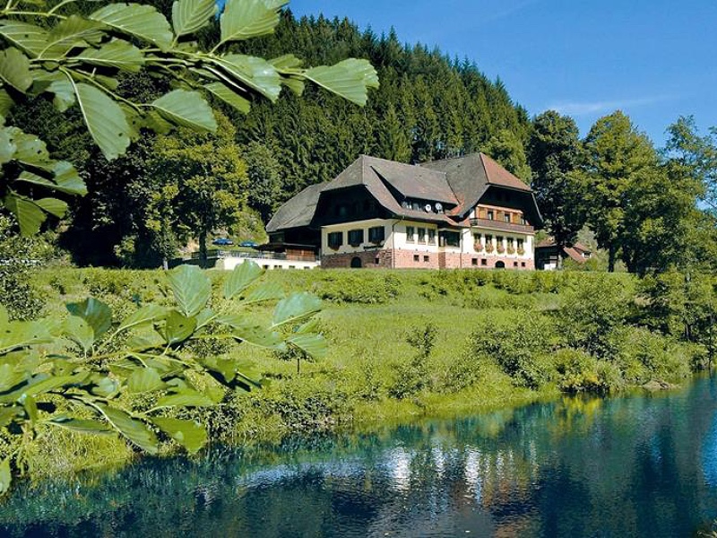 Hotel Ochsenwirtshof Zwarte Woud Duitsland