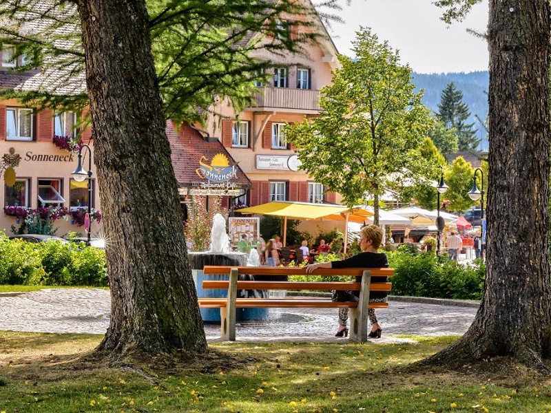 Hotel Sonneneck Titisee Zwarte Woud Duitsland