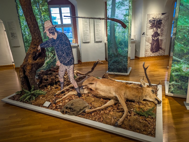 Aandacht in het museum voor de jacht in de Spessart