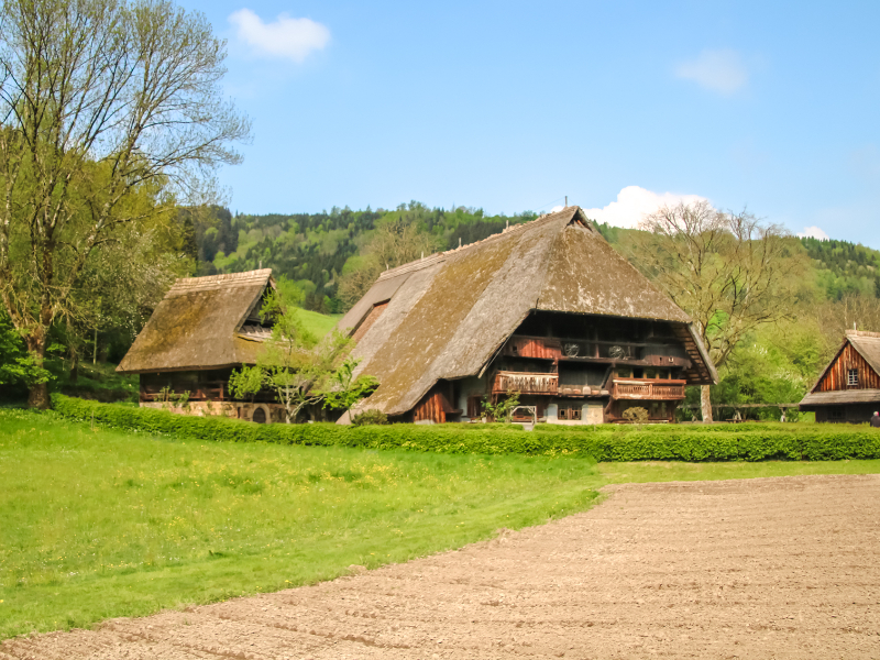 Een van de boerderijen op Vogtsbauernhof in het Zwarte Woud