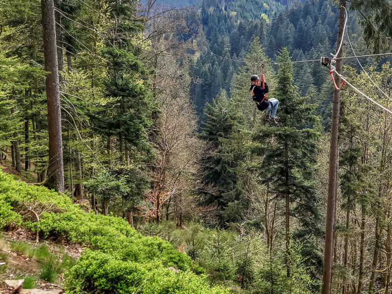 Zeb aan de zipline in het Kinzigtal, Zwarte Woud