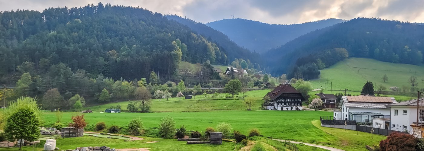 Het Kinzigtal, een dal in het midden van het Zwarte Woud, Duitsland